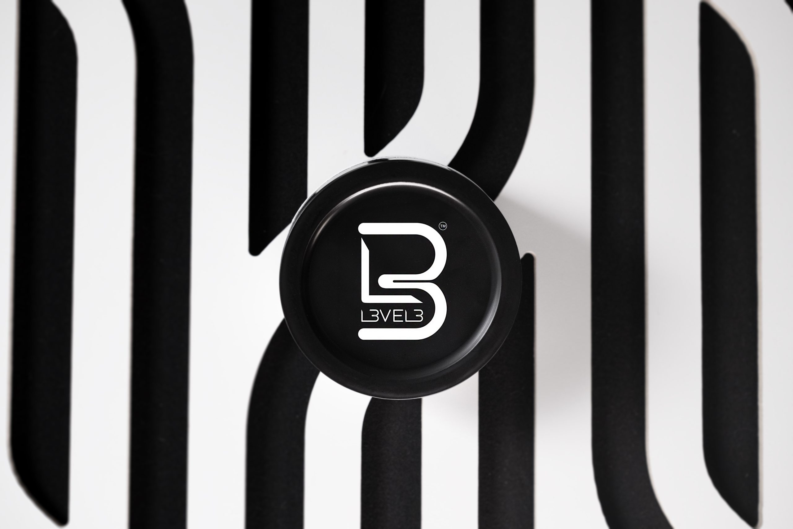 pic-4-SCULPT pic-4-SCULPT